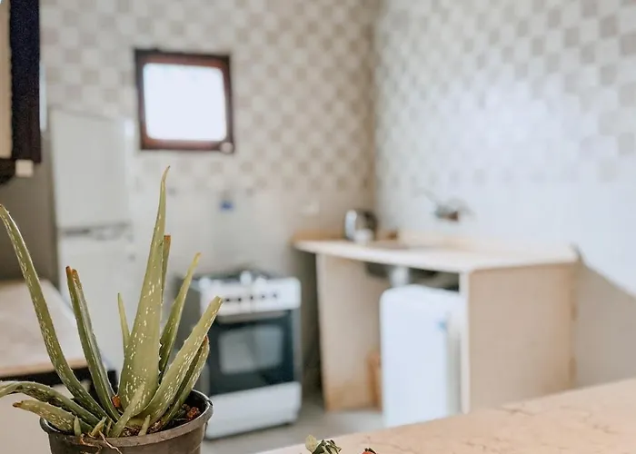 Vow Bedouin House *